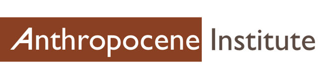 Anthropocene Institute